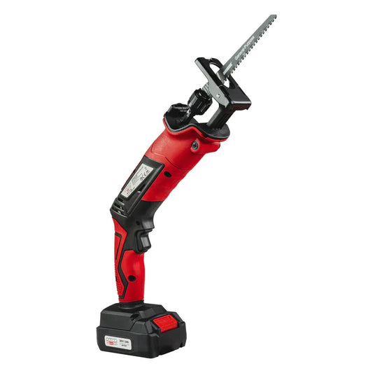 Raider R20 Fierastrau sabie prindere rapida 20V 2Ah RDP-KRS20 - 221.ro