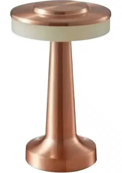 Lampa pentru birou, 2W, incarcare USB, PRONTO 3CCT, rose, HOROZ / 050-002-0001 - 221.ro