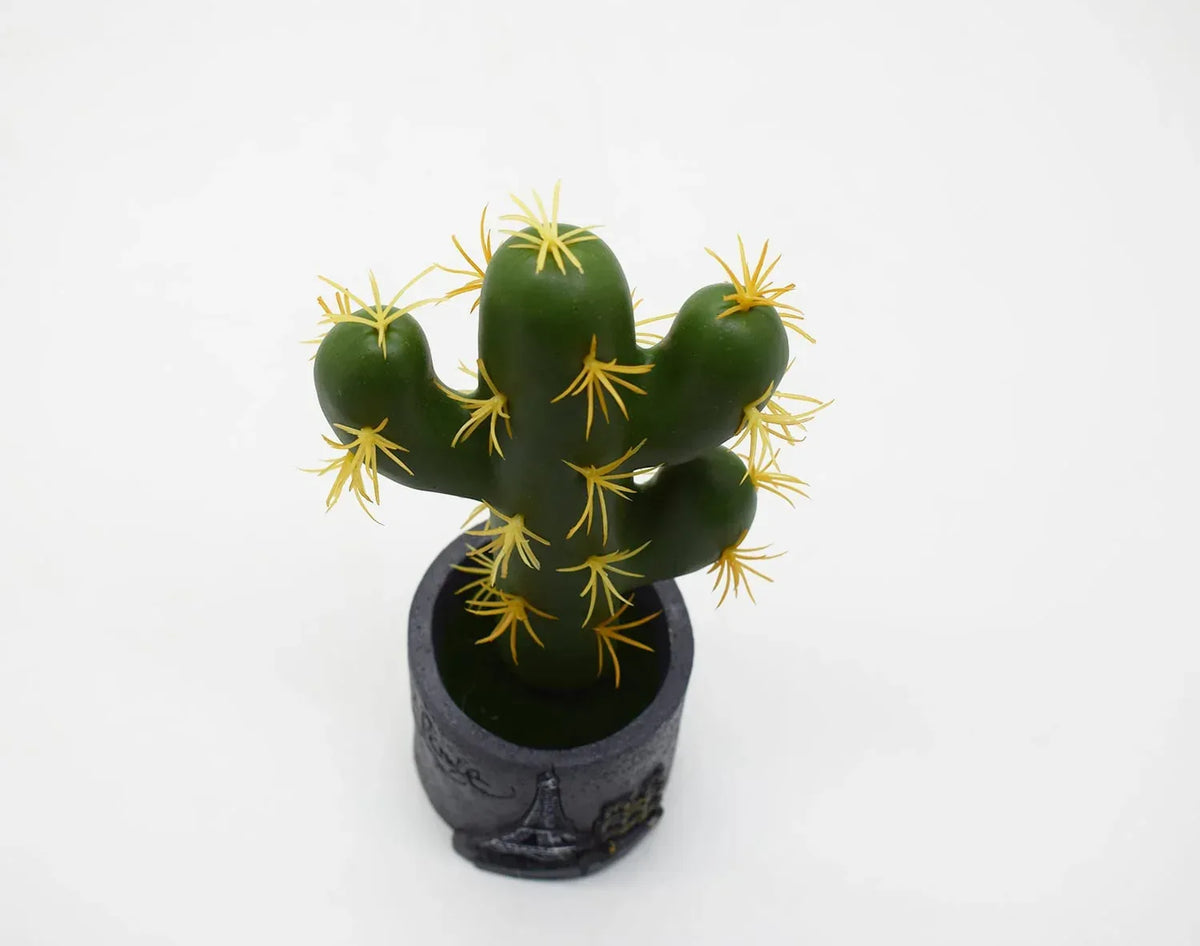 Cactus artificial, Naimeed D2835, culoare verde, 22x8 cm - 221.ro
