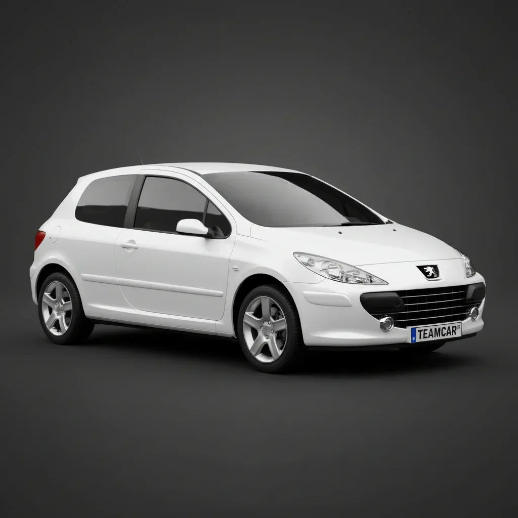 Covorase Auto Tip Tavita Compatibile Peugeot 307 Hatchback 3 usi 2005-2008 Silver