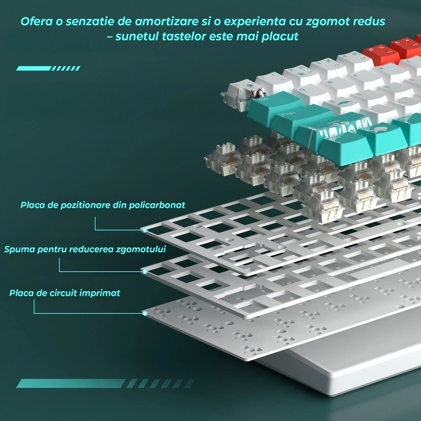 Tastatura Mecanica Timebox, 60%, Hot-Swap, RGB, Cablu Type-C Detasabil
