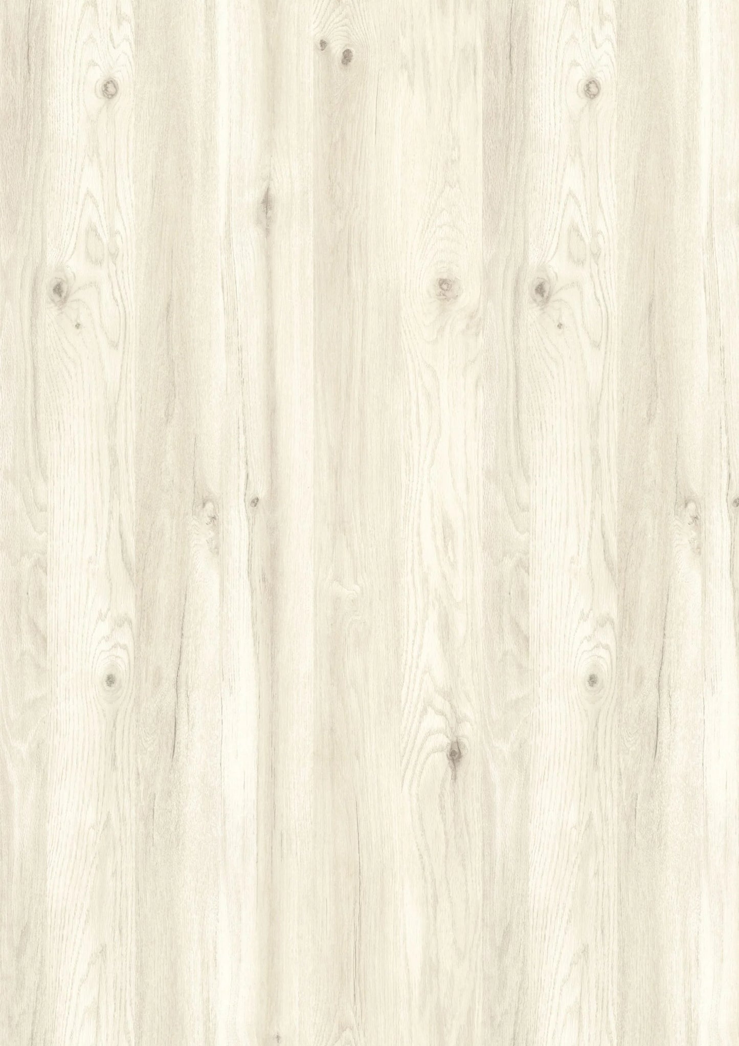 Cuier haaus Lyon, Stejar Alb, L 85 x l 24 x H 180 cm