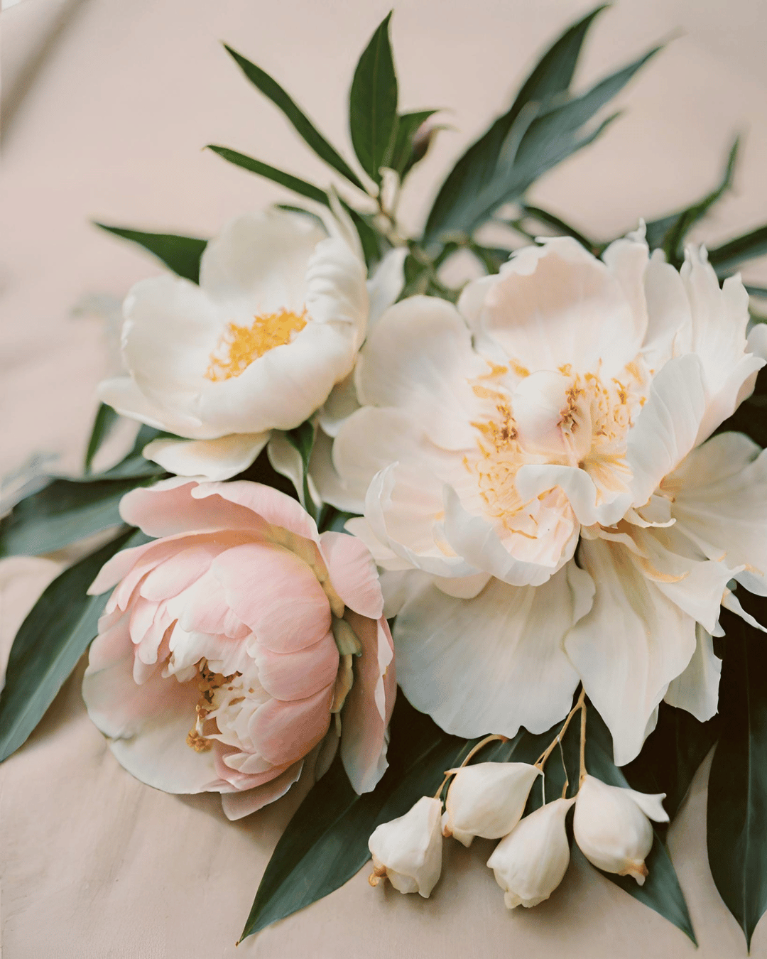 Lumânare parfumată Amber - Somewhere Dreamy - Bujor • Oud • Iasomie