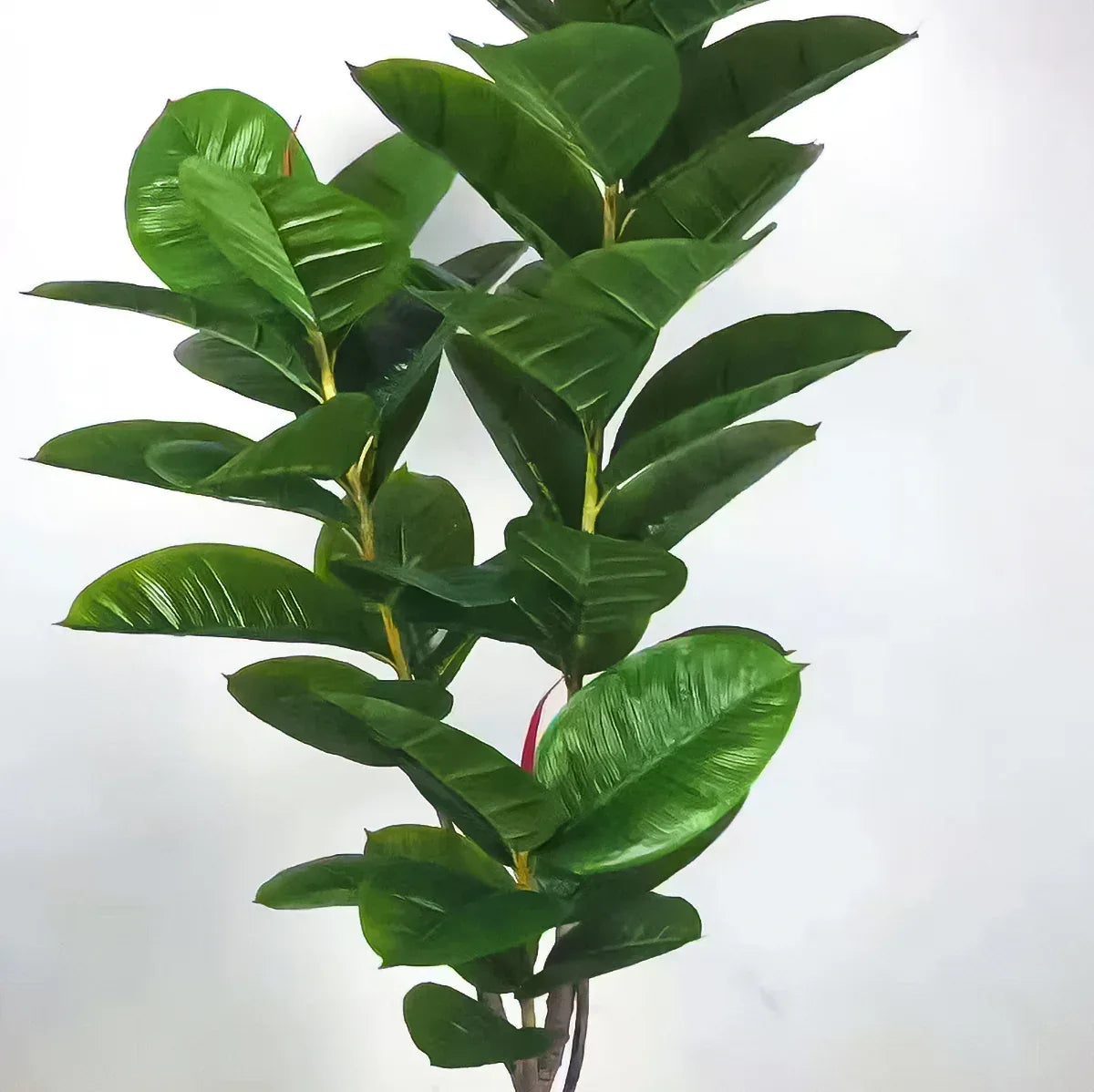Copac artificial, Ficus Elastica fara ghiveci D3066, verde, 190 cm - 221.ro