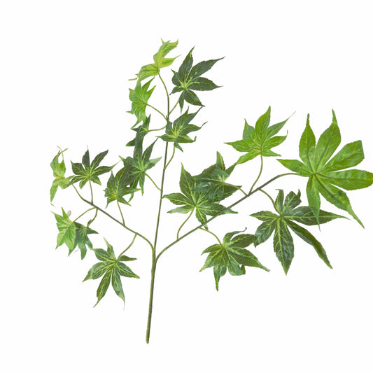 Set 6 crenguta fara ghiveci, Naimeed D3073, 61x68cm, Verde