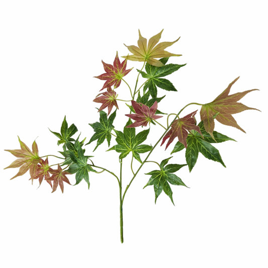 Set 6 crenguta fara ghiveci, Naimeed D3073, 61x68cm, Verde/Maro