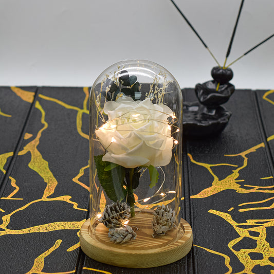 Aranjament floral in cupola de sticla, lumina Led, D4004, Alb