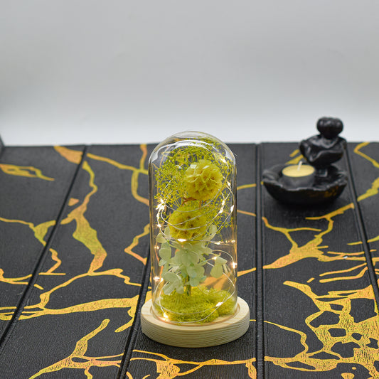 Aranjament floral in cupola de sticla, lumina Led, D4024, Verde