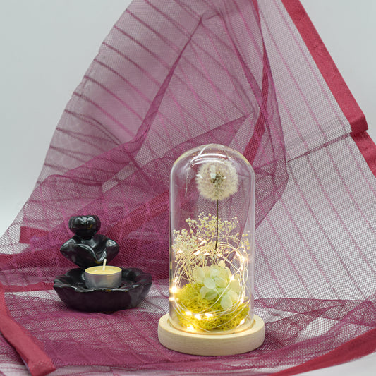 Aranjament floral in cupola de sticla, lumina Led, D4025, Alb