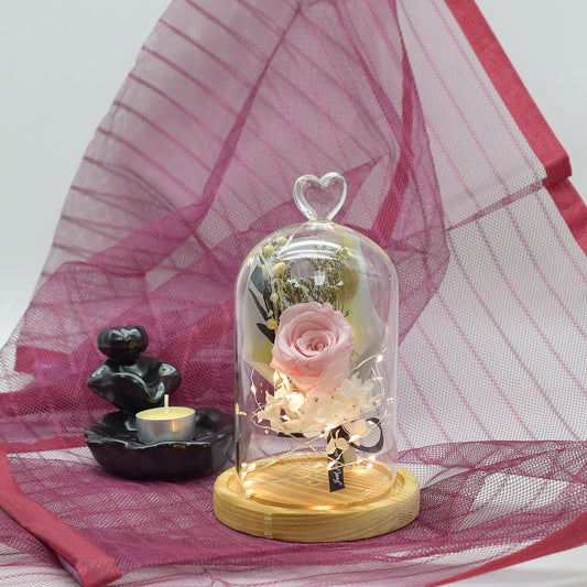 Aranjament floral in cupola de sticla, lumina Led, D4051, Roz