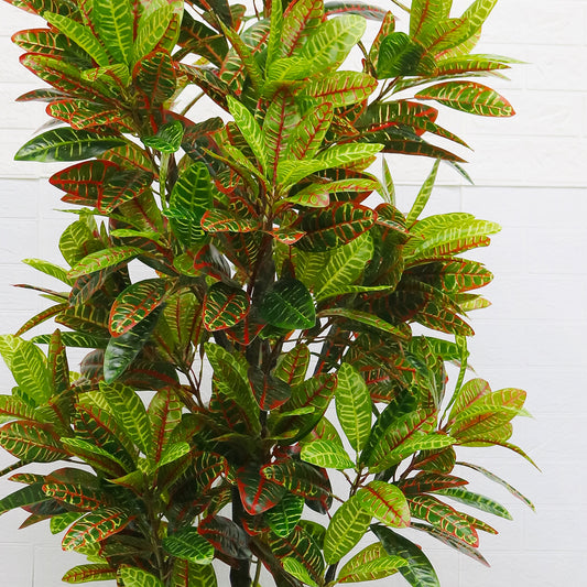 Planta artificiala, Croton fara ghiveci, D4252, 190cm