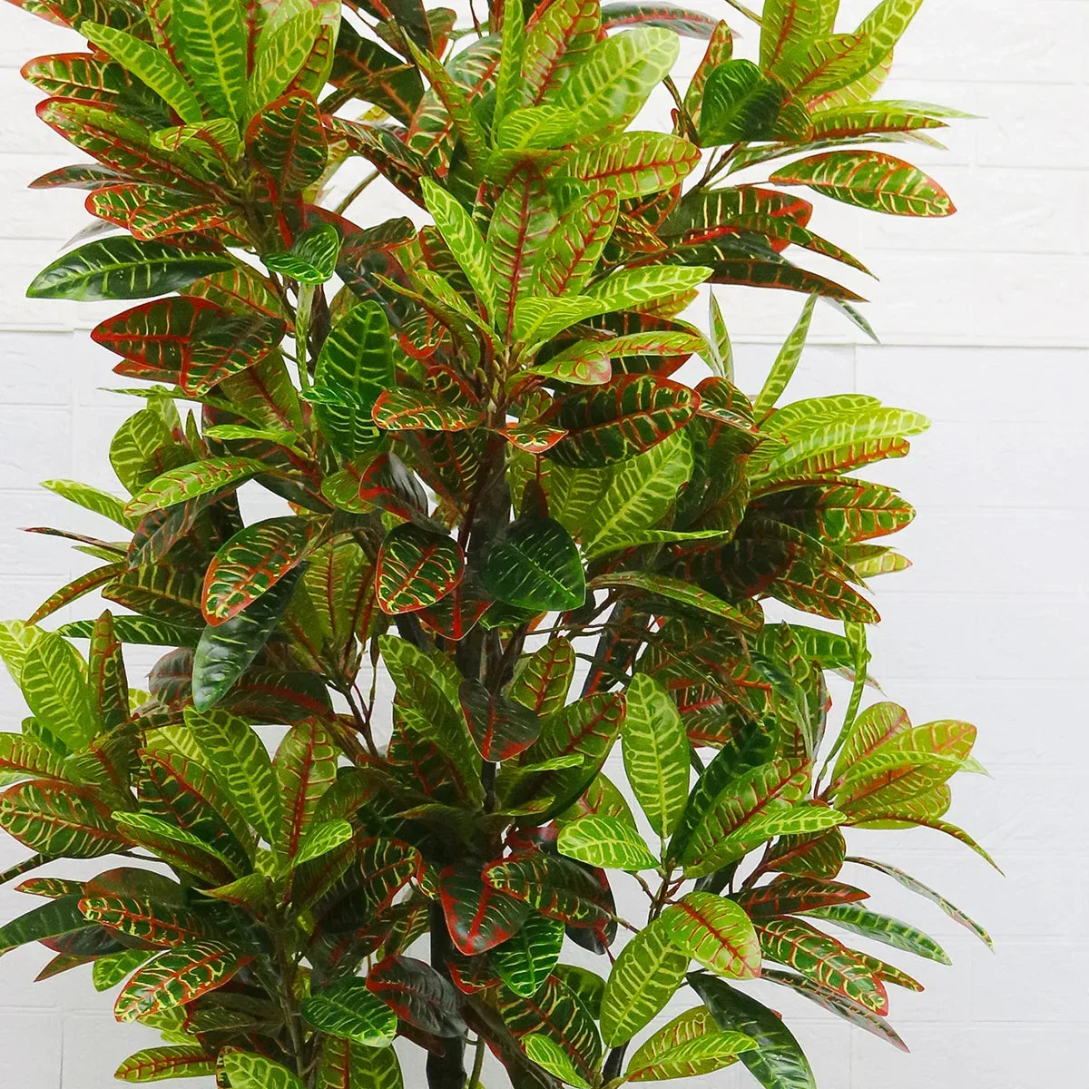 Planta artificiala, Croton fara ghiveci, D4252, 190cm - 221.ro