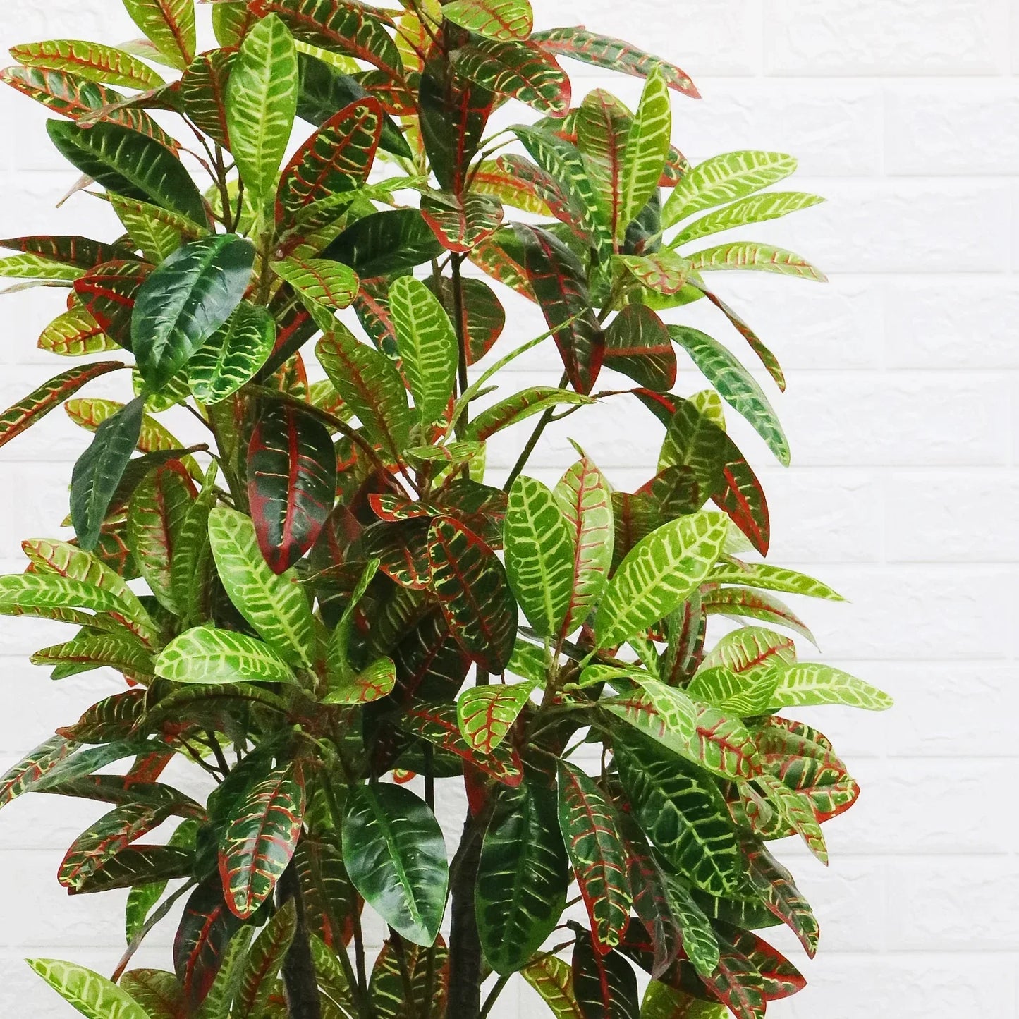 Planta artificiala, Croton fara ghiveci, D4253, 160cm - 221.ro