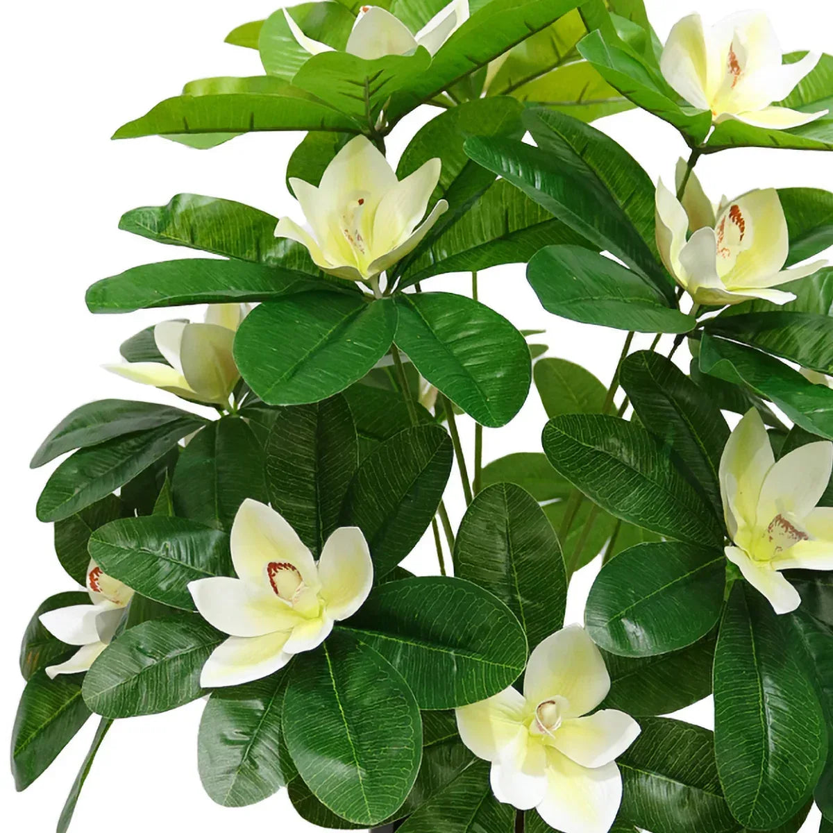 Planta artificiala, Cymbidium fara ghiveci, D4258, 60cm, verde/alb - 221.ro