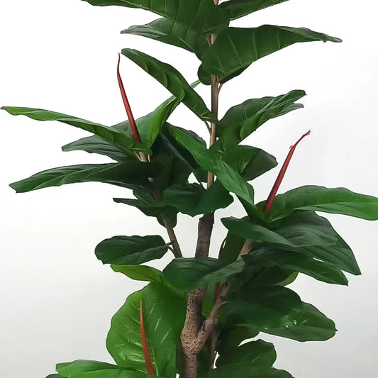 Planta artificiala, Ficus Pandurata fara ghiveci, D4276, 165cm, verde - 221.ro