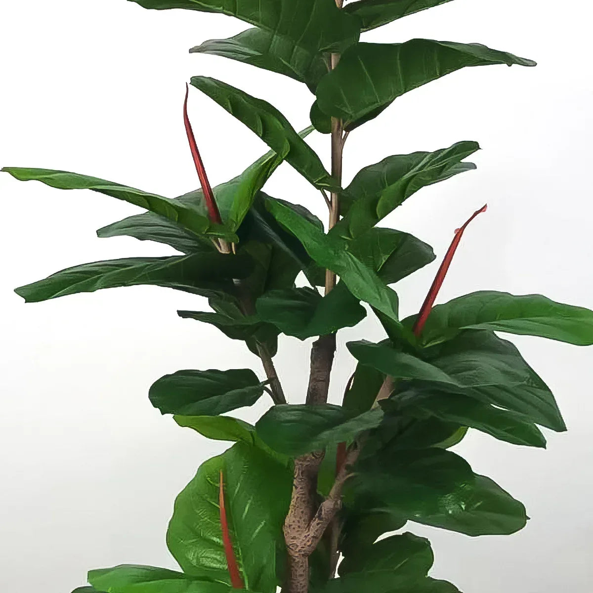 Planta artificiala, Ficus fara ghiveci, D4286, 165cm, verde - 221.ro