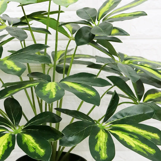 Planta artificiala, Pachira fara ghiveci, D4282, 65cm, verde - 221.ro