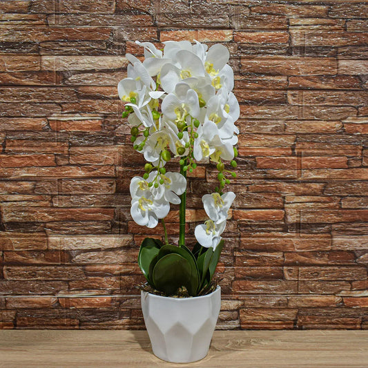 Orhidee cu aspect natural in ghiveci ceramic, 70 cm, Naimeed D4842, Alb - 221.ro