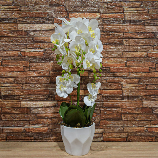 Orhidee cu aspect natural in ghiveci ceramic, 70 cm, Naimeed D4842, Alb