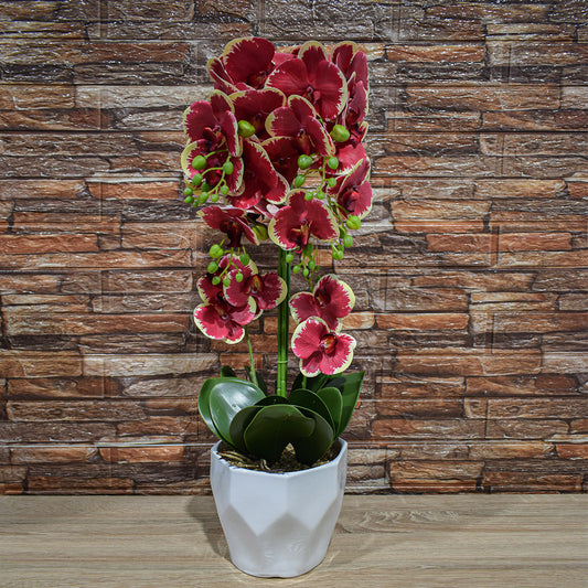 Orhidee cu aspect natural in ghiveci ceramic, 70 cm, Naimeed D4842, Rosu