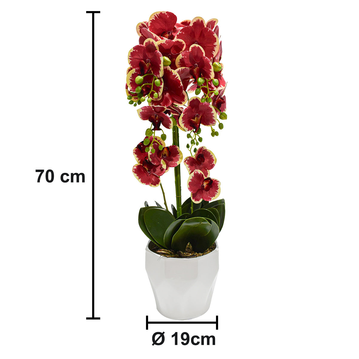 Orhidee cu aspect natural in ghiveci ceramic, 70 cm, Naimeed D4842, Rosu