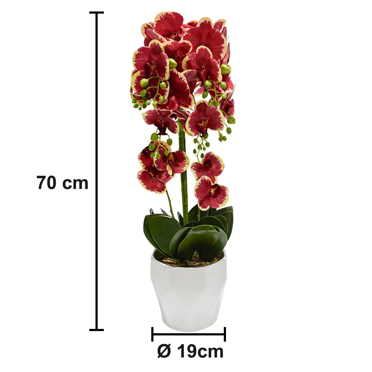 Orhidee cu aspect natural in ghiveci ceramic, 70 cm, Naimeed D4842, Rosu - 221.ro