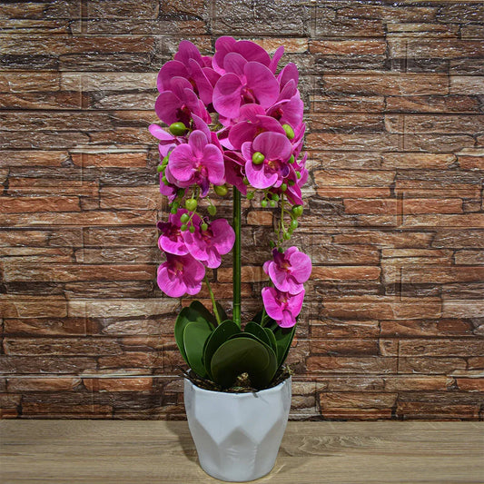 Orhidee cu aspect natural in ghiveci ceramic, 70 cm, Naimeed D4842, Roz - 221.ro