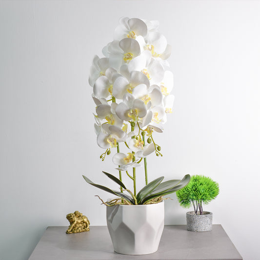 Orhidee cu aspect natural in ghiveci ceramic, 70 cm, Naimeed D4843, Alb