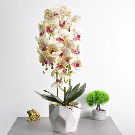 Orhidee cu aspect natural in ghiveci ceramic, 70 cm, Naimeed D4843, Crem - 221.ro
