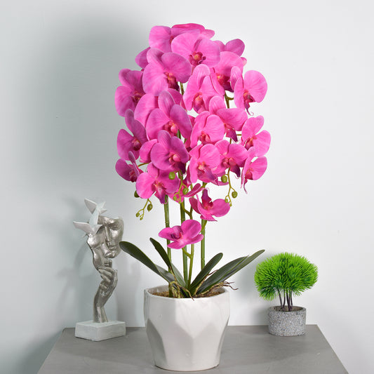 Orhidee cu aspect natural in ghiveci ceramic, 70 cm, Naimeed D4843, Magenta