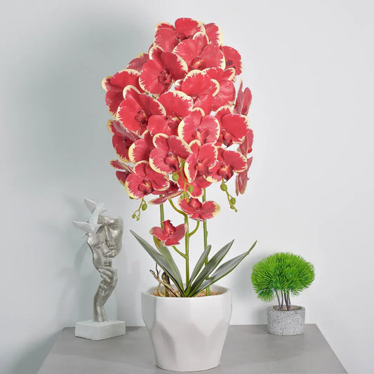 Orhidee cu aspect natural in ghiveci ceramic, 70 cm, Naimeed D4843, Rosu - 221.ro