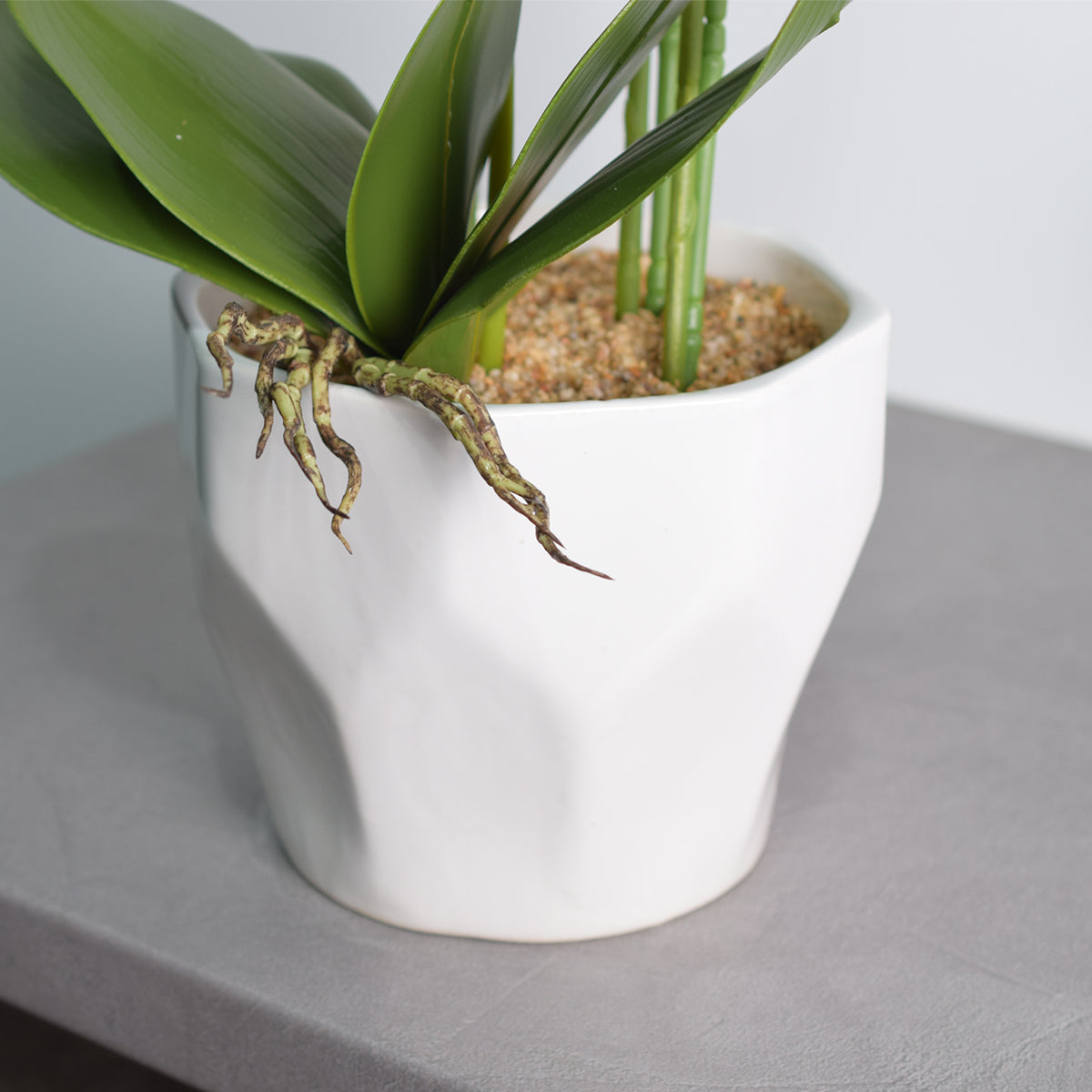 Orhidee cu aspect natural in ghiveci ceramic, 70 cm, Naimeed D4843, Crem