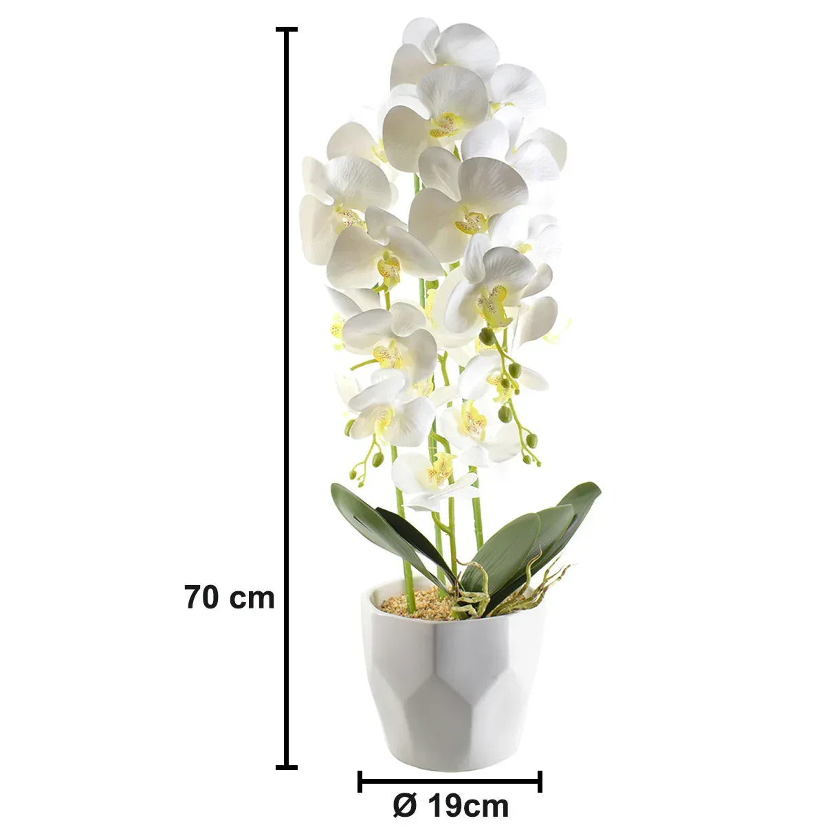 Orhidee cu aspect natural in ghiveci ceramic, 70 cm, Naimeed D4843, Alb - 221.ro