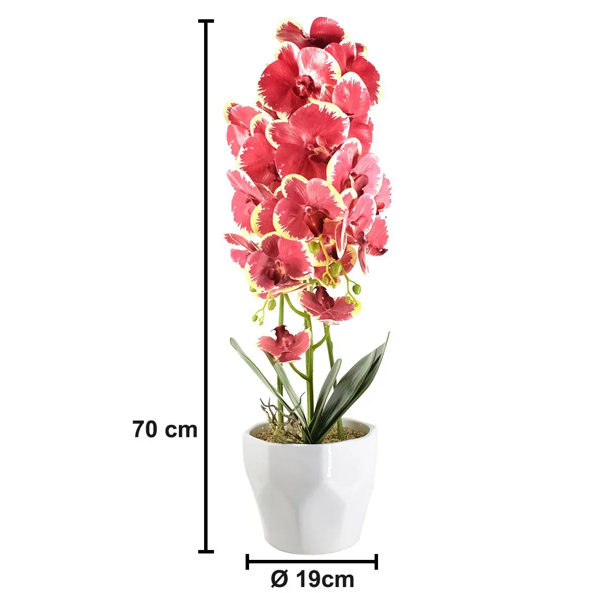 Orhidee cu aspect natural in ghiveci ceramic, 70 cm, Naimeed D4843, Rosu - 221.ro