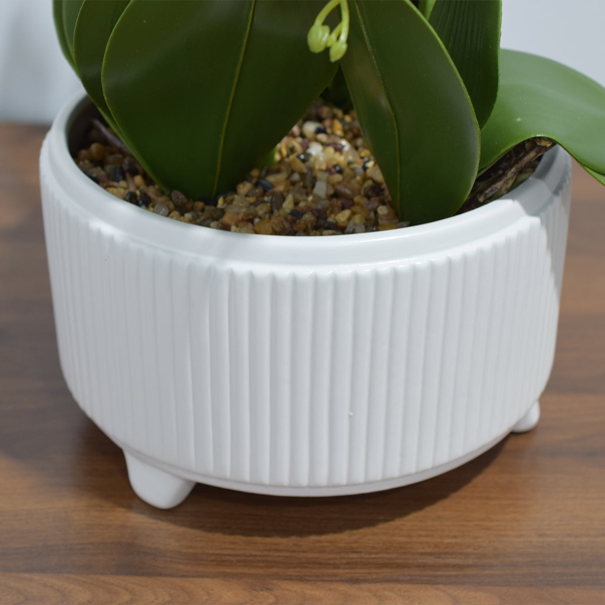 Orhidee cu aspect natural in ghiveci ceramic, 71 cm, Naimeed D4844, Alb