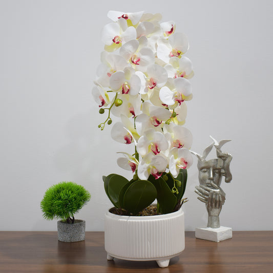 Orhidee cu aspect natural in ghiveci ceramic, 71 cm, Naimeed D4844, Alb