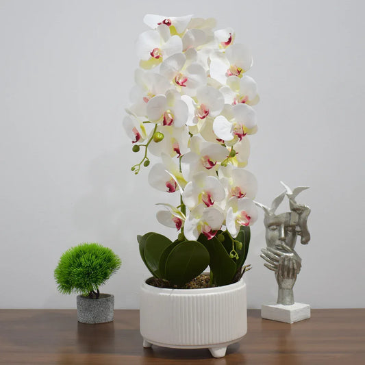 Orhidee cu aspect natural in ghiveci ceramic, 71 cm, Naimeed D4844, Alb - 221.ro