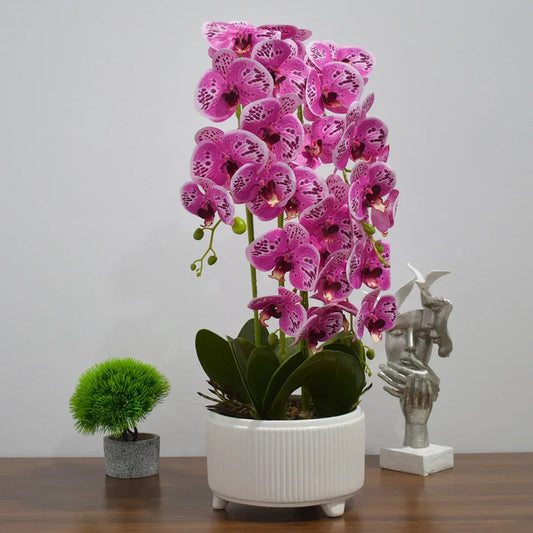 Orhidee cu aspect natural in ghiveci ceramic, 71 cm, Naimeed D4844, Magenta - 221.ro