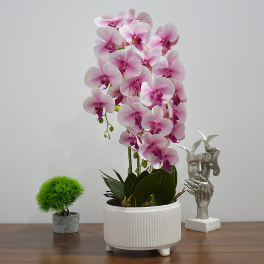 Orhidee cu aspect natural in ghiveci ceramic, 71 cm, Naimeed D4844, Roz