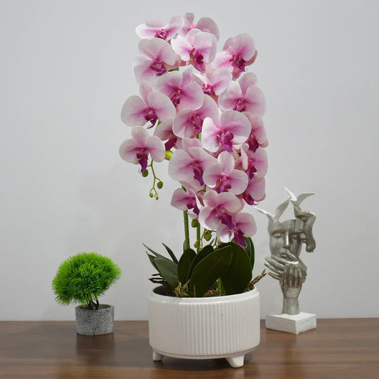 Orhidee cu aspect natural in ghiveci ceramic, 71 cm, Naimeed D4844, Roz - 221.ro