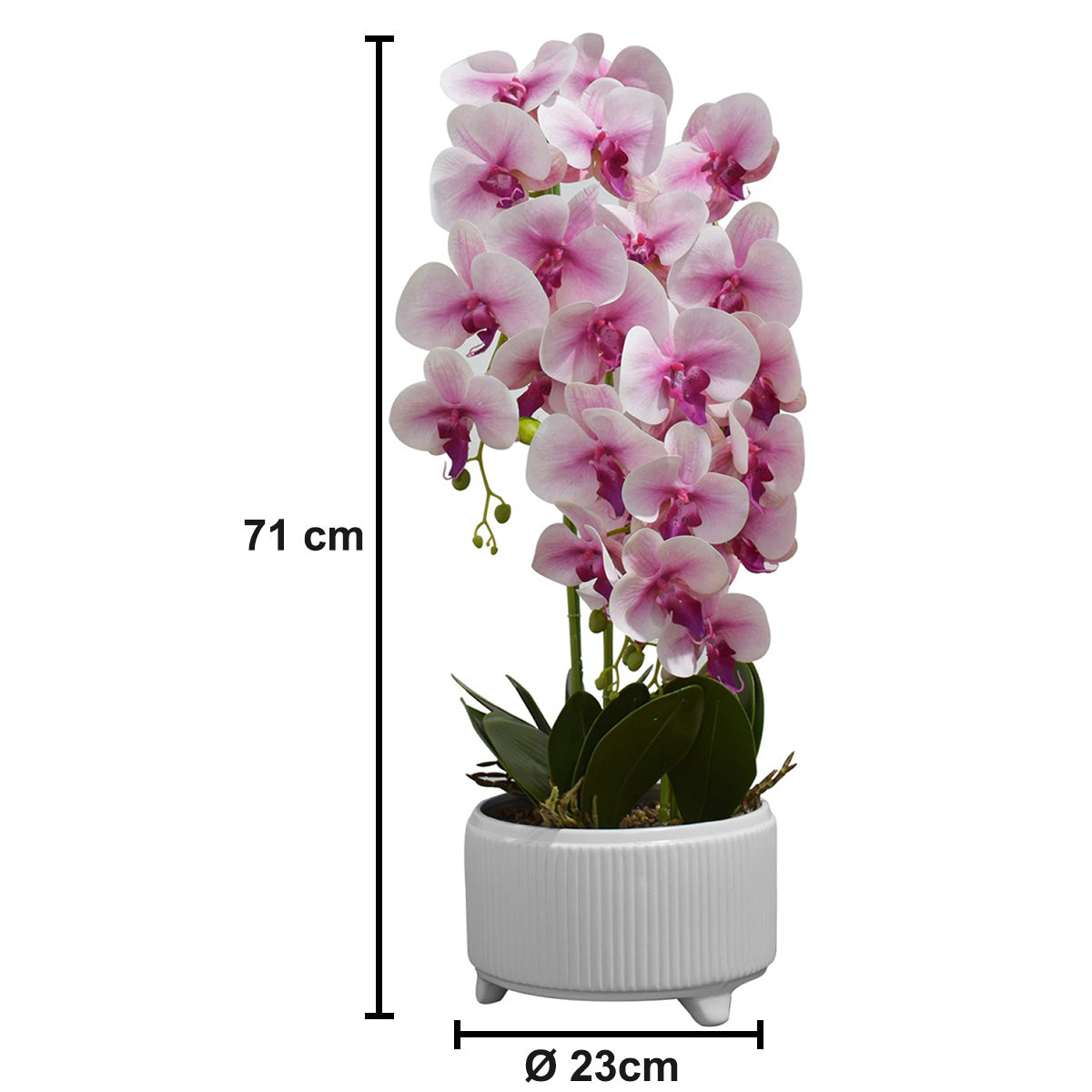 Orhidee cu aspect natural in ghiveci ceramic, 71 cm, Naimeed D4844, Roz