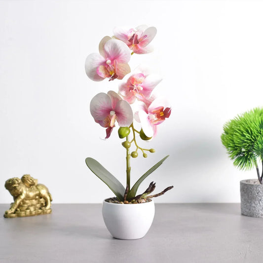 Orhidee cu aspect natural in ghiveci ceramic, 33 cm, Naimeed D4851, Roz - 221.ro
