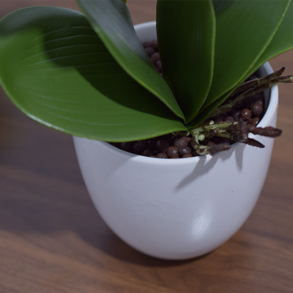 Orhidee cu aspect natural in ghiveci ceramic, 53 cm, Naimeed D4846, Alb