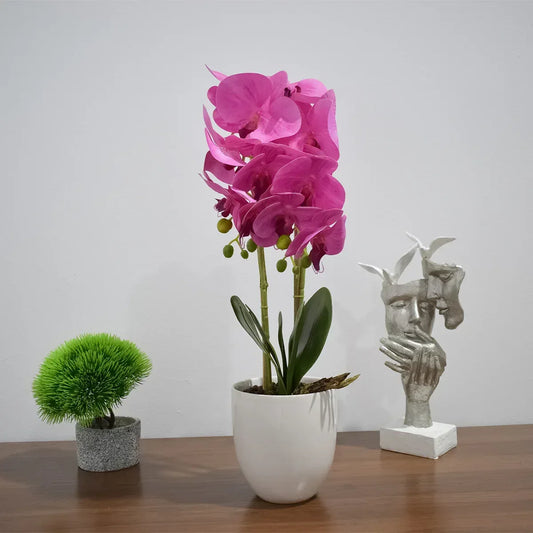 Orhidee cu aspect natural in ghiveci ceramic, 53 cm, Naimeed D4846, Magenta - 221.ro