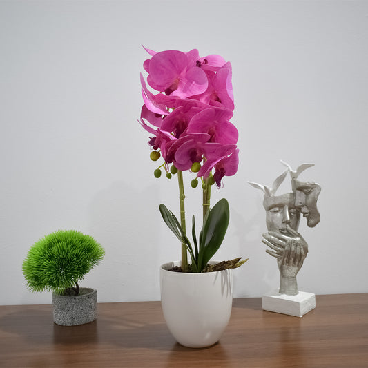 Orhidee cu aspect natural in ghiveci ceramic, 53 cm, Naimeed D4846, Magenta