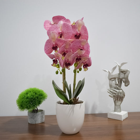 Orhidee cu aspect natural in ghiveci ceramic, 53 cm, Naimeed D4846, Roz