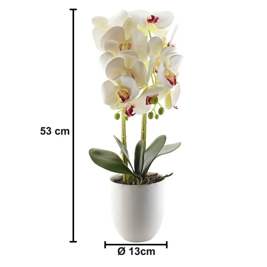 Orhidee cu aspect natural in ghiveci ceramic, 53 cm, Naimeed D4846, Alb - 221.ro