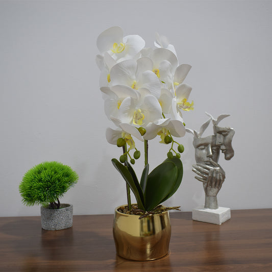 Orhidee cu aspect natural in ghiveci ceramic, 50 cm, Naimeed D4847, Alb