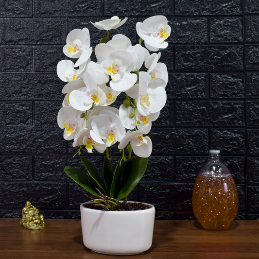 Orhidee cu aspect natural in ghiveci ceramic, 50 cm, Naimeed D4848, Alb