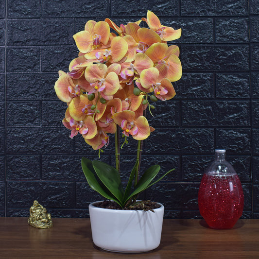 Orhidee cu aspect natural in ghiveci ceramic, 50 cm, Naimeed D4848, Portocaliu